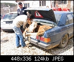         

:  805_118albania.jpg_448_.jpg
:  55
:  123,7 KB